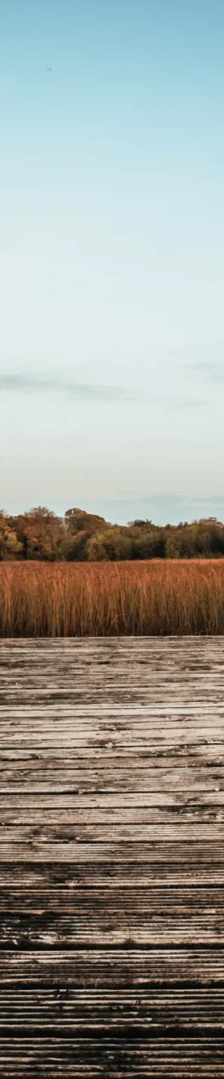 Beobachte Flore und Fauna in Lough Graney